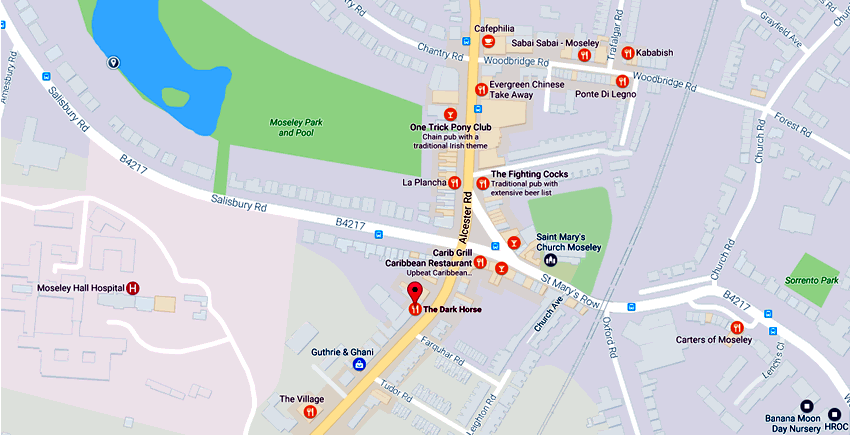 Dark Horse	145 Alcester Road, Moseley, B13 8JP