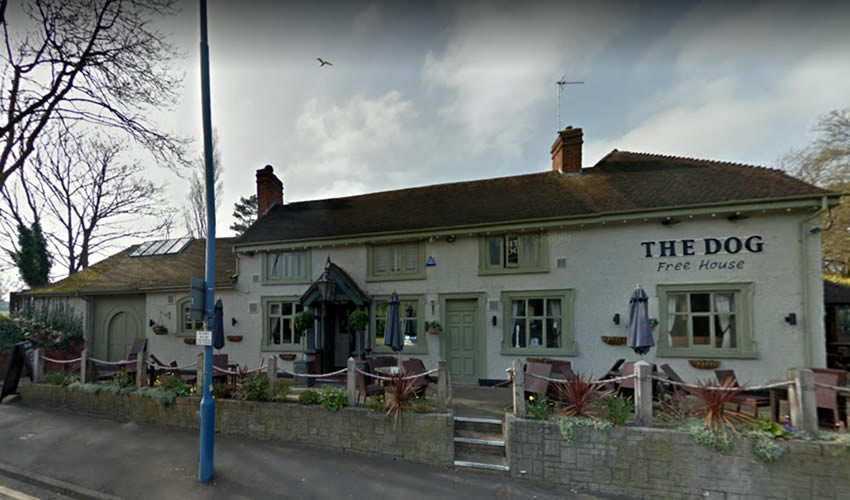 Dog	8 Hagley Road West, Smethwick, B67 5EU